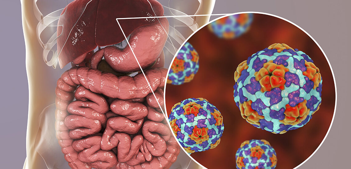 Illustration depicting Hepatitis A virus and its impact on the liver, emphasizing the importance of Hepatitis A vaccination for protecting against the infection.