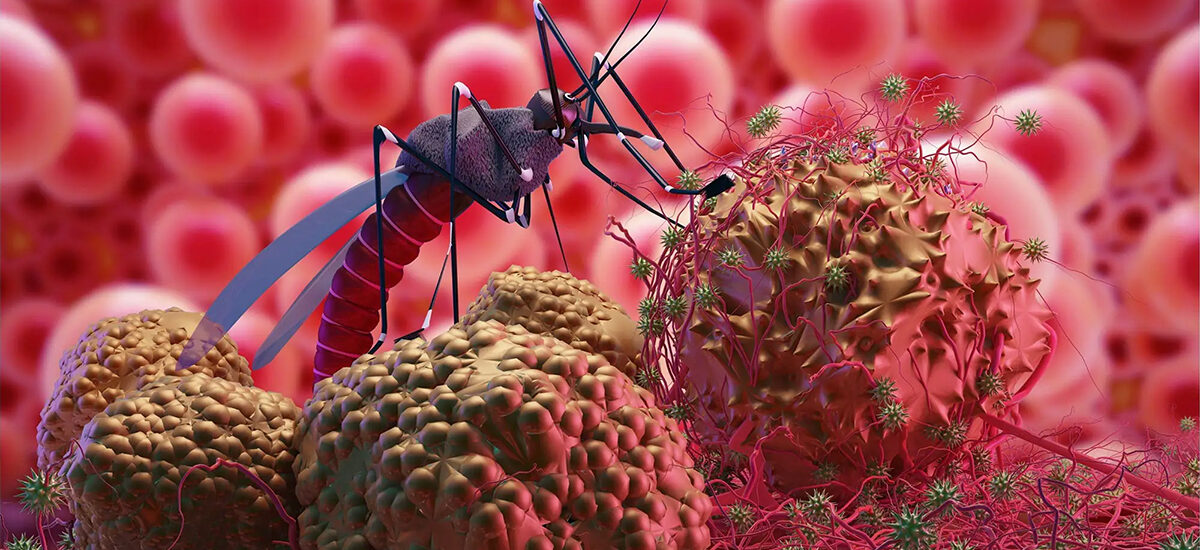 Image of a Mosquito: Potential Carrier of Malaria and Other Diseases