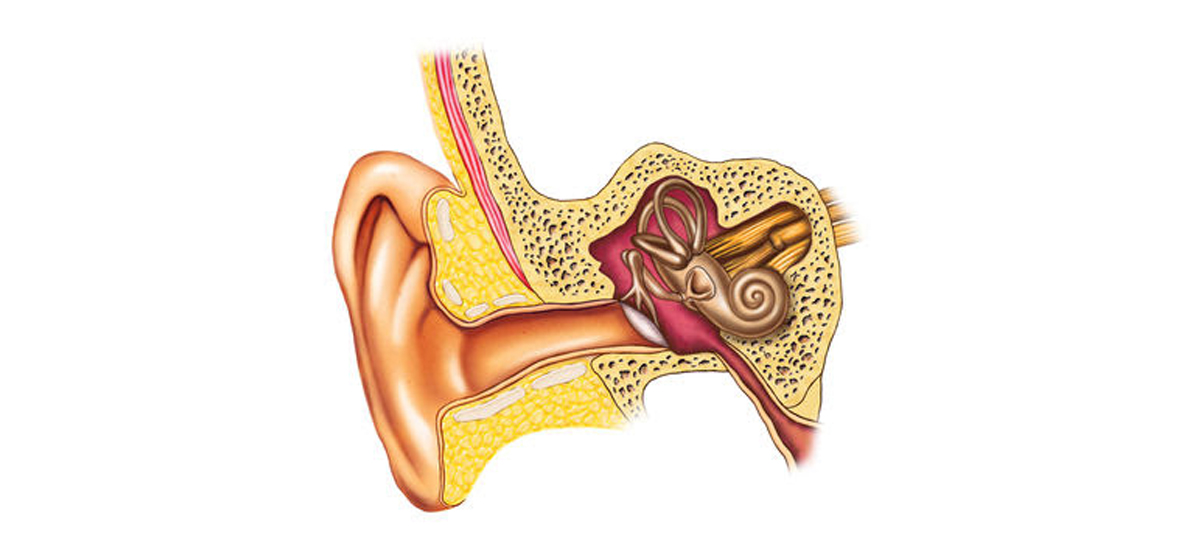 North Harrow Pharmacy's Ear Infection Treatment in Harrow: A caring pharmacist can provide swift and effective relief for acute otitis media. Access our expert services through calling, walking in, or booking online.